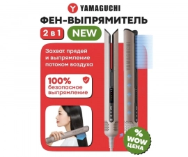 Фен-выпрямитель для волос: плюсы и минусы перед покупкой